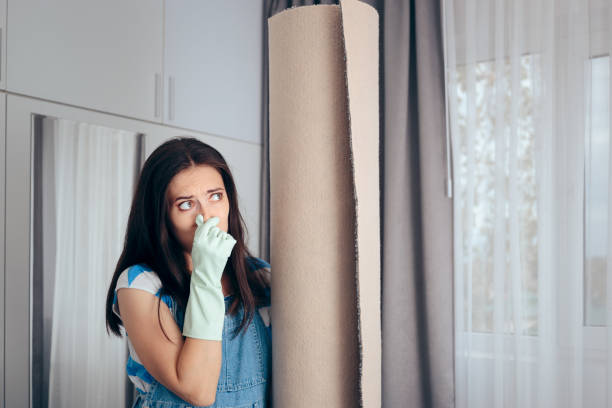  Burlington, WI Mold Removal Pros